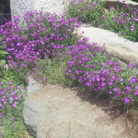 La Nanda Devi